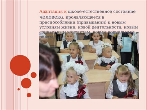 Помощь в воспитании и привыкании к определенной зоне