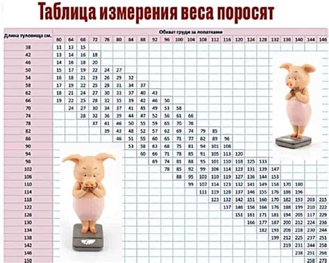 Помощь в контроле веса поросят