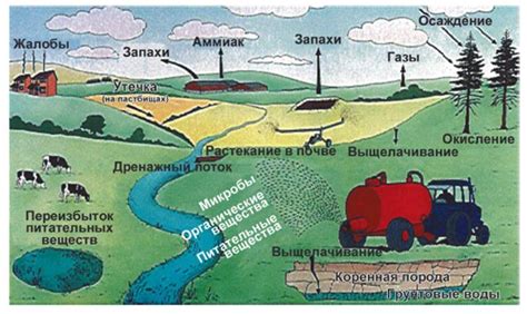 Потенциальные риски и воздействие на окружающую среду