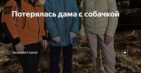 Потерялась дама с вежливым обращением