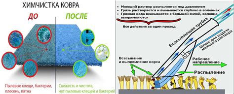 Почему следует предпочесть сухую чистку