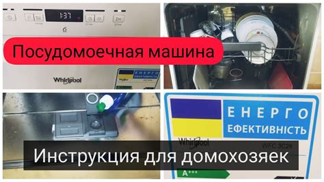 Правила использования посудомоечной машины для очков