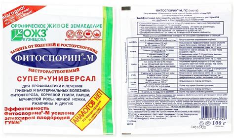 Правила опрыскивания фитоспорином
