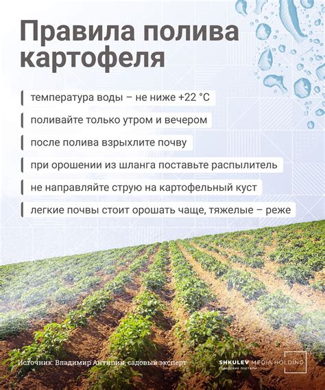 Правила полива перед сохранением