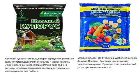 Правила хранения медного купороса