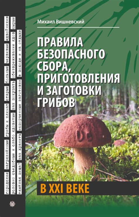 Правила этичного и безопасного сбора деревьев