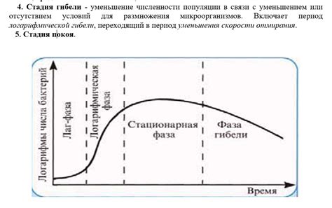 Предотвращение роста бактерий и плесени