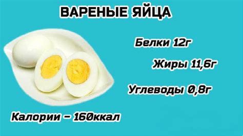 Преимущества вареного яйца для шпица