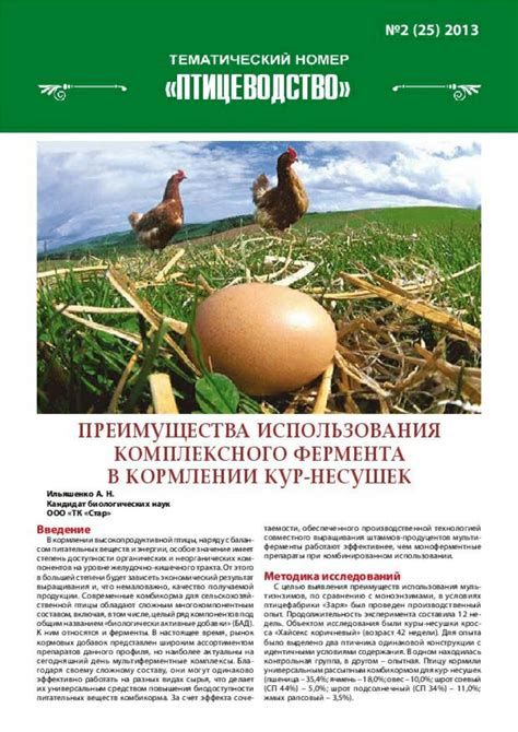Преимущества использования доломитовой муки в кормлении кур