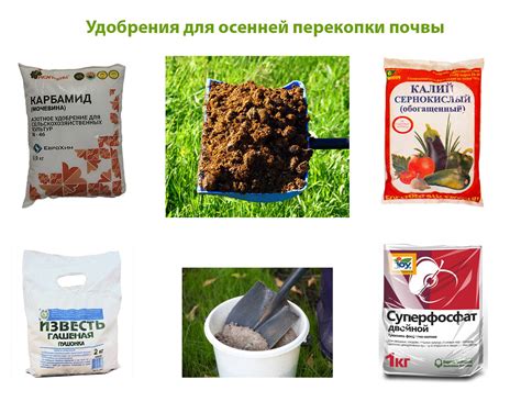 Преимущества использования ржаной муки в качестве удобрения