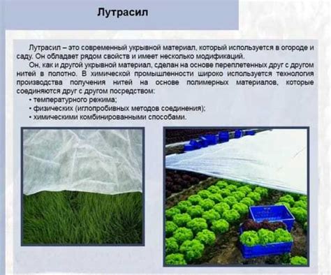 Преимущества и недостатки укрывного материала