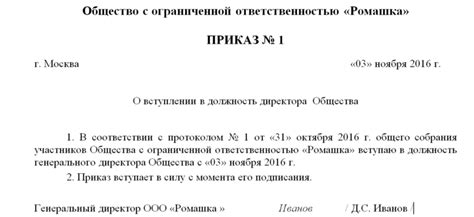 Преимущества назначения заместителя директора в ИП