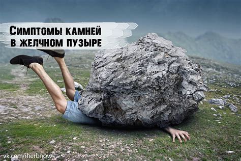 Признаки наличия змей в земле
