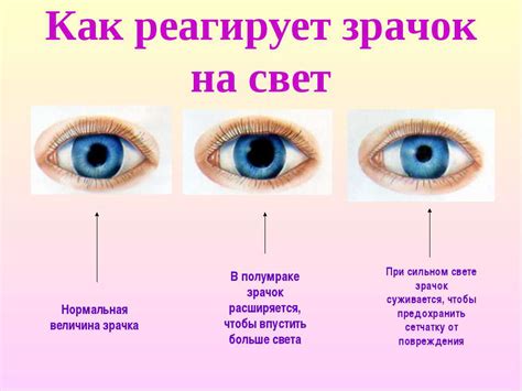 Примеры случаев, когда человек не умер после выкола глаз