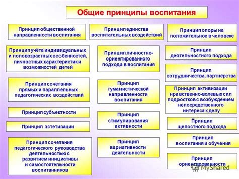Принципы воспитания и согласование расписания: