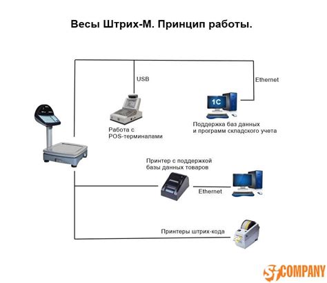 Принцип работы пищевых весов