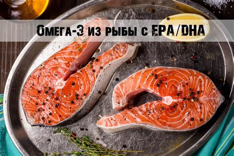 При использовании янтарной кислоты и рыбьего жира вместе