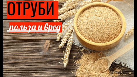 Просроченные грибы: рекомендации по безопасному употреблению