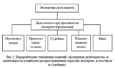 Профессиональная деятельность судебного эксперта