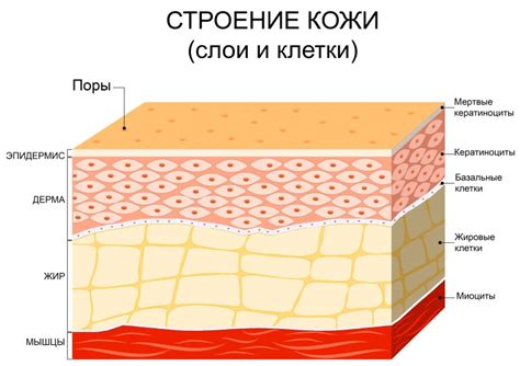 Профессиональные рекомендации по съему кожи с налима