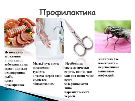 Профилактика заражения глистами в школе