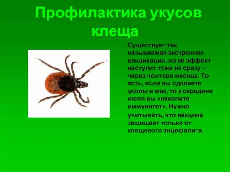 Профилактика укусов черного клеща