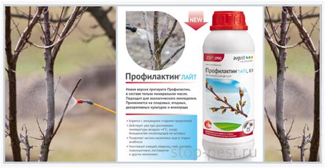 Профилактин: свойства и применение