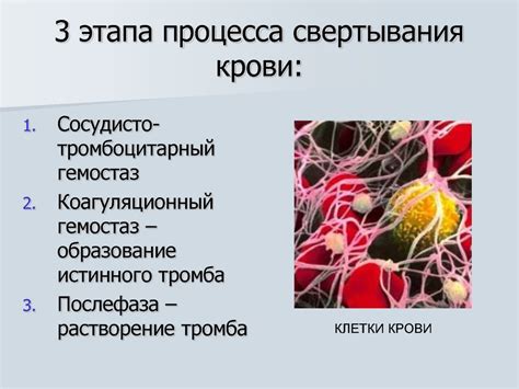 Процесс свертывания оргалита в рулон