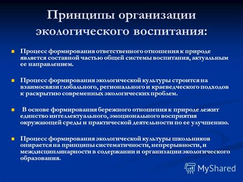 Процесс формирования ответственного отношения стажера к дисциплине