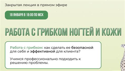 Работа в помещении с грибком: основные риски и проблемы