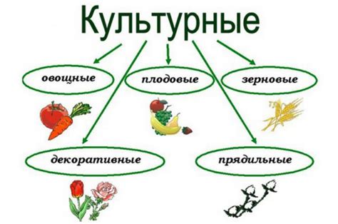 Раздел 3: Культурные отличия