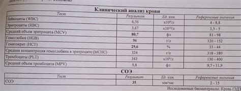 Разница в требованиях при прохождении санминимума и медосмотра