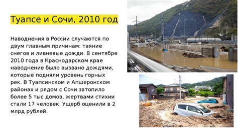 Распространение иван-чая на территории России