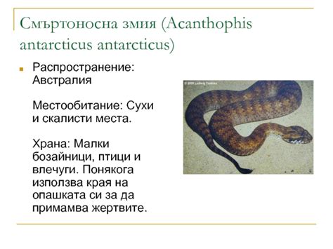Распространение и местообитание змей