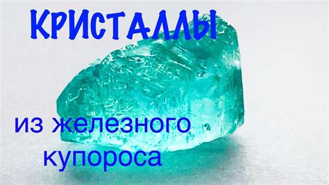 Раствор железного купороса: особенности хранения в домашних условиях