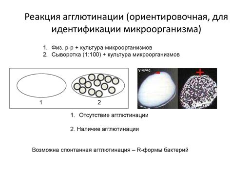 Реакция негативных микроорганизмов на содовую смесь