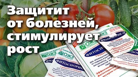 Результаты и рекомендации использования фитоспорина