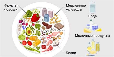 Рекомендации диетологов по употреблению цикория с молоком при диабете