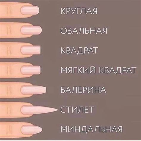 Рекомендации и правила обрезки ногтей на рабочем месте