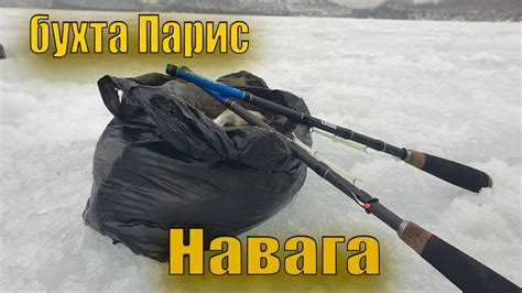 Рекомендации по времени соления наваги