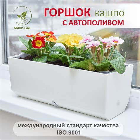 Рекомендации по выбору горшка с автополивом для герани