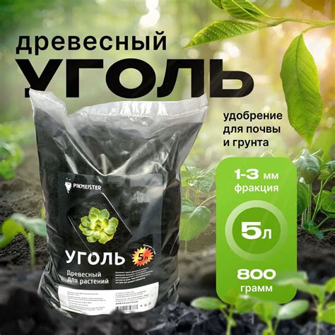 Рекомендации по выбору грунта и растений для вольера