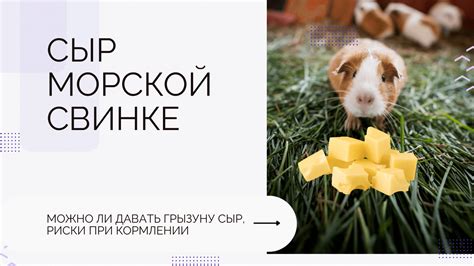 Риски возникновения заболеваний при кормлении салом свиным