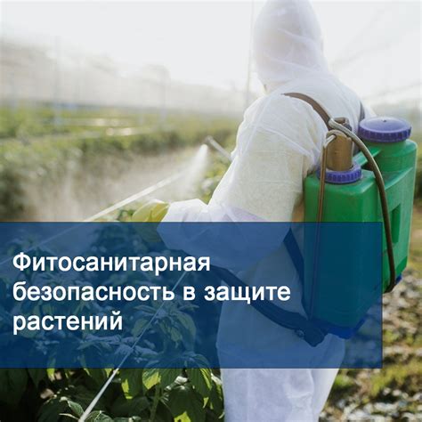 Роль актары в защите растений