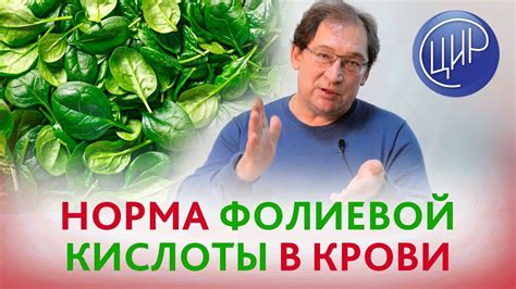 Роль йода и фолиевой кислоты в организме