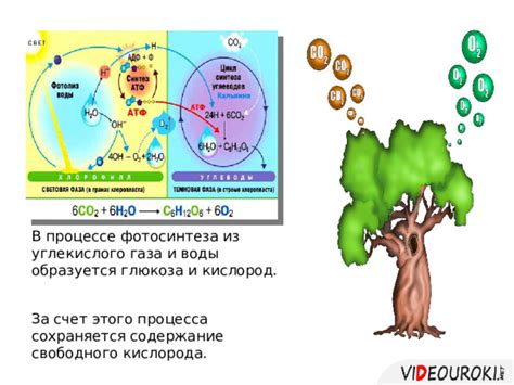 Роль кислорода в процессе сгорания