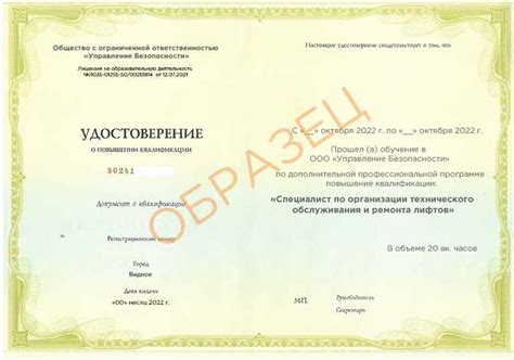 Роль лицензированных специалистов в монтаже лифтов