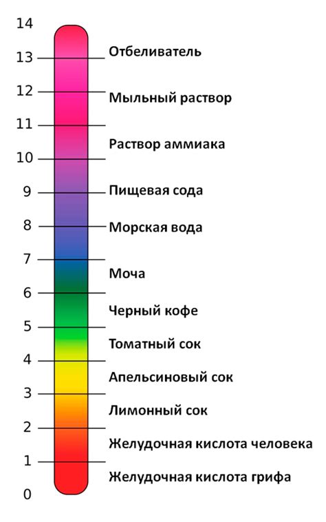 Роль ромашки в регулировании кислотности желудка