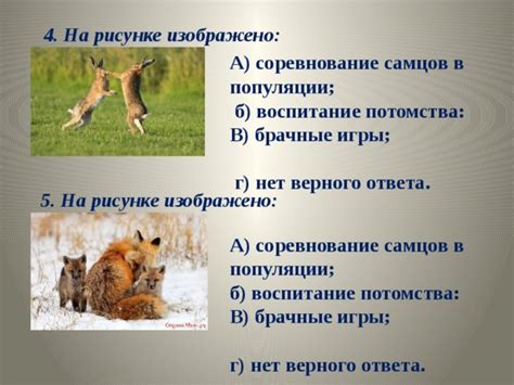 Роль самцов в воспитании потомства