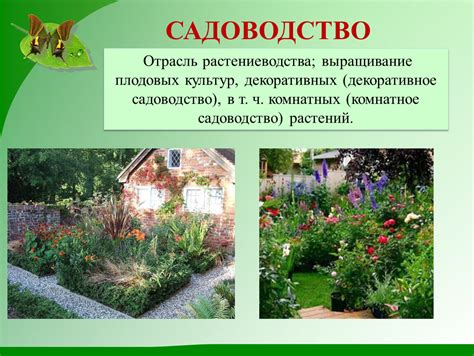 Садоводство: сочетание разных растений в одном саду
